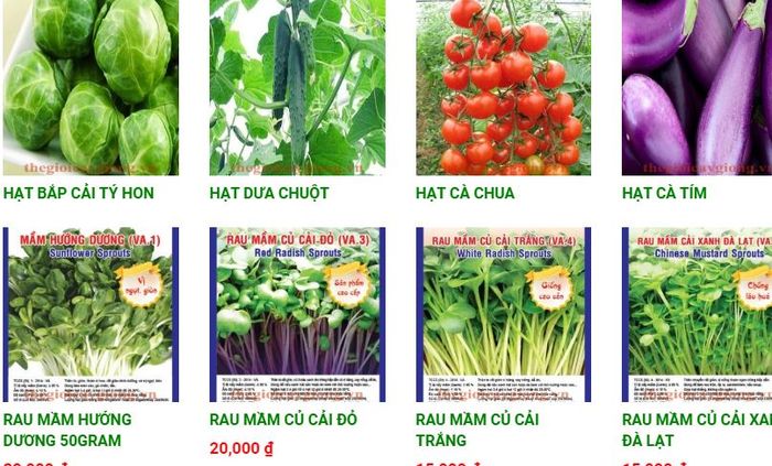 Trung tâm Phát triển Giống cây trồng Việt Nam hình ảnh 2