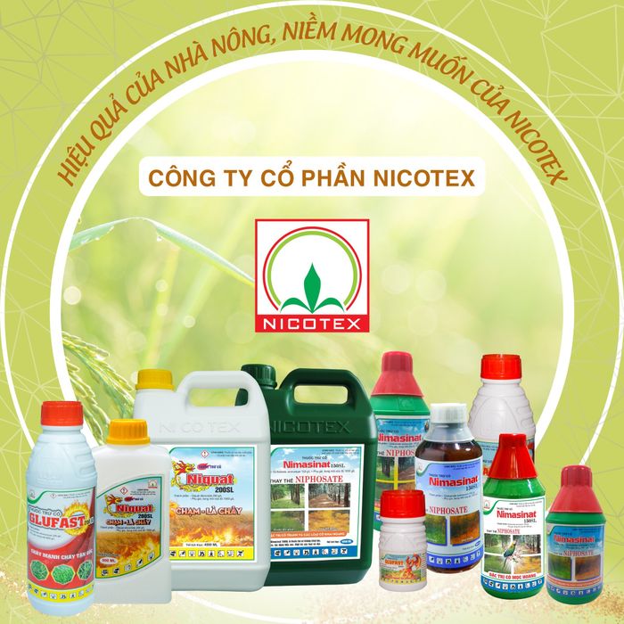 Hình ảnh Công Ty Cổ Phần Nicotex số 2