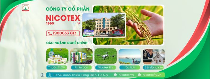 Hình ảnh Công Ty Cổ Phần Nicotex số 1