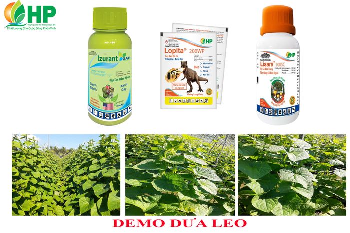 Hình ảnh Công ty Cổ phần Nông Nghiệp HP số 2