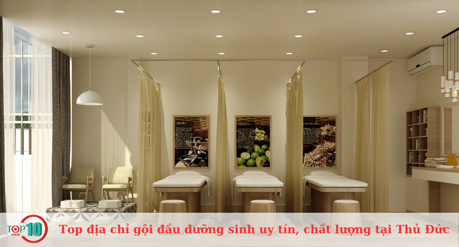 Những địa chỉ gội đầu dưỡng sinh chất lượng và uy tín tại Thủ Đức