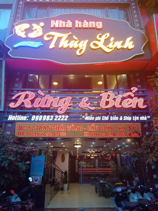 CÁ LĂNG THÙY LINH hình 2