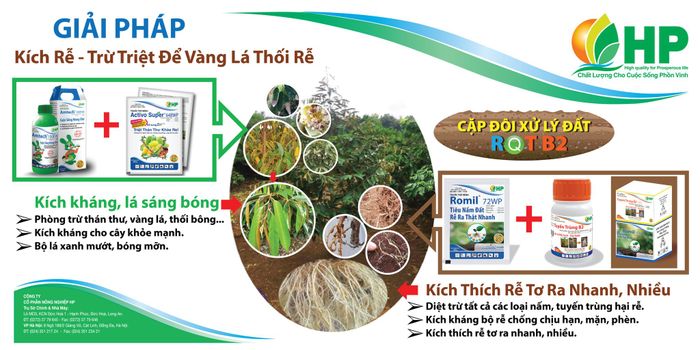 Hình ảnh Công ty CP Nông Nghiệp HP