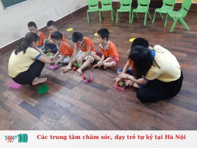 Các trung tâm chăm sóc và dạy trẻ tự kỷ tại Hà Nội