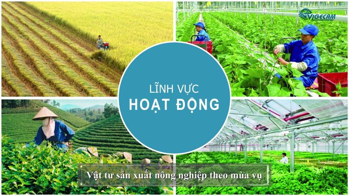 Tổng công ty Vật tư nông nghiệp hình ảnh 1