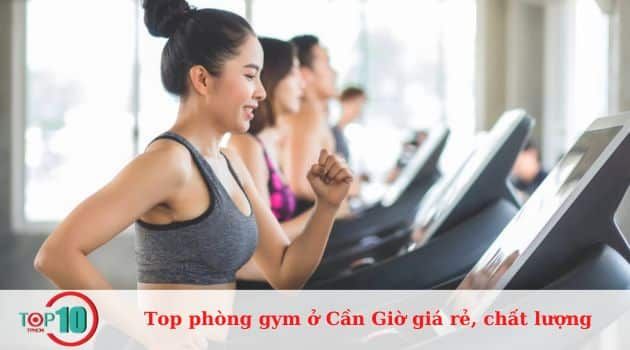 Các phòng tập thể hình hàng đầu ở Cần Giờ