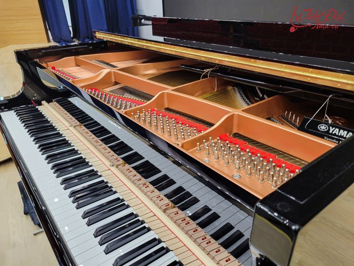 Hình ảnh Tuấn Lưu Piano 2