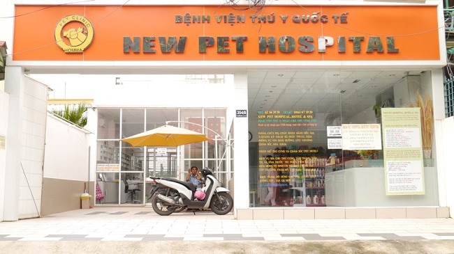 Phòng khám Thú y New Pet là một trong những địa chỉ uy tín và đáng tin cậy nhất tại TPHCM