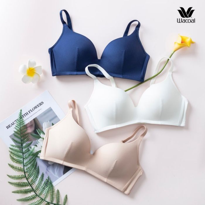 WACOAL VIỆT NAM hình ảnh 1
