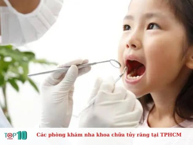 Nơi nào có dịch vụ lấy tủy răng