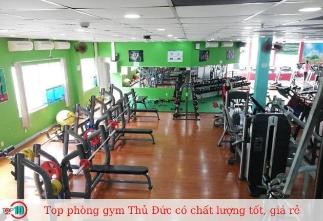 Phòng tập V&H Fitness