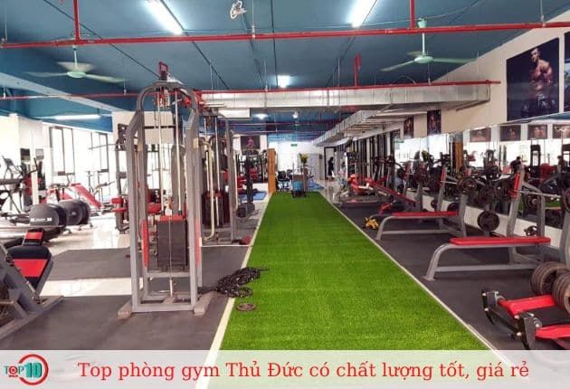 CLB Thể hình Thanh Niên