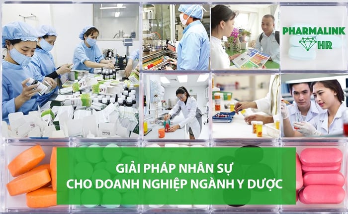 Đào tạo bán thuốc tây tại Hà Nội