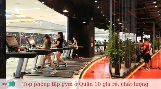 Các phòng gym tại Quận 10