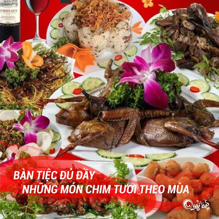 Hình ảnh Quý Cò - Chim To Dần 2