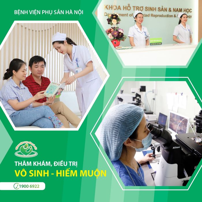 Bệnh Viện Phụ Sản Hà Nội - Ảnh 1