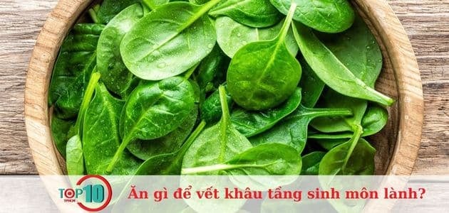 Rau xanh cung cấp nhiều dưỡng chất quý giá cho sức khỏe