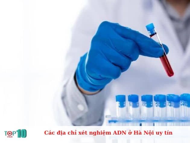 Những địa chỉ xét nghiệm ADN uy tín tại Hà Nội