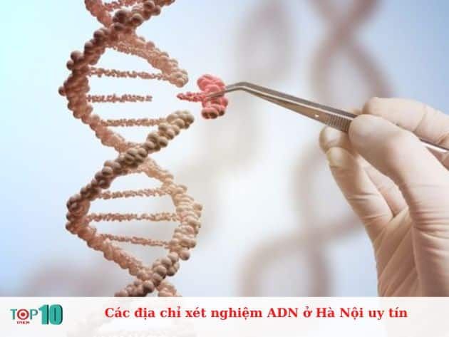 Những địa chỉ xét nghiệm ADN uy tín tại Hà Nội