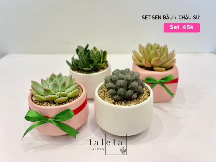 Ảnh 2 của Vườn Cây Lalela