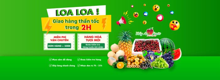 Hình ảnh Thủy Anh Fruits 2