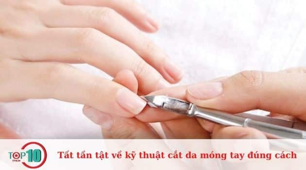 Khám phá toàn bộ bí quyết cắt da móng tay chuẩn