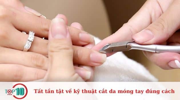 Hướng dẫn kỹ thuật cầm kềm chuyên nghiệp