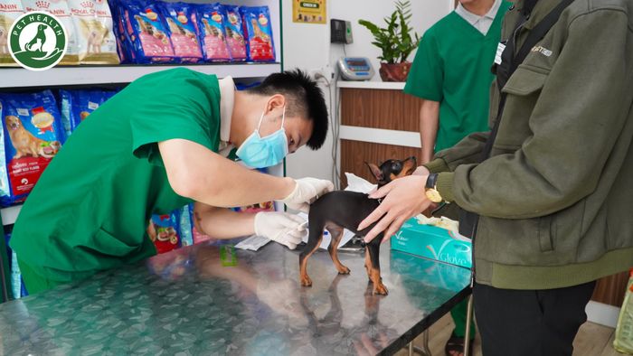 Hình ảnh 1 của Bệnh Viện Thú Y Pethealth