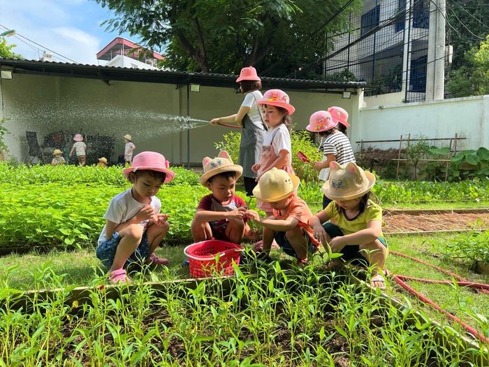 Hình ảnh Trường mầm non KinderLand 3