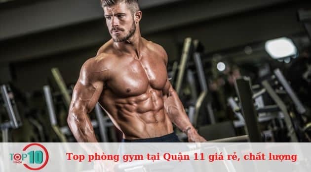 Những phòng tập gym giá tốt và chất lượng ở Quận 11