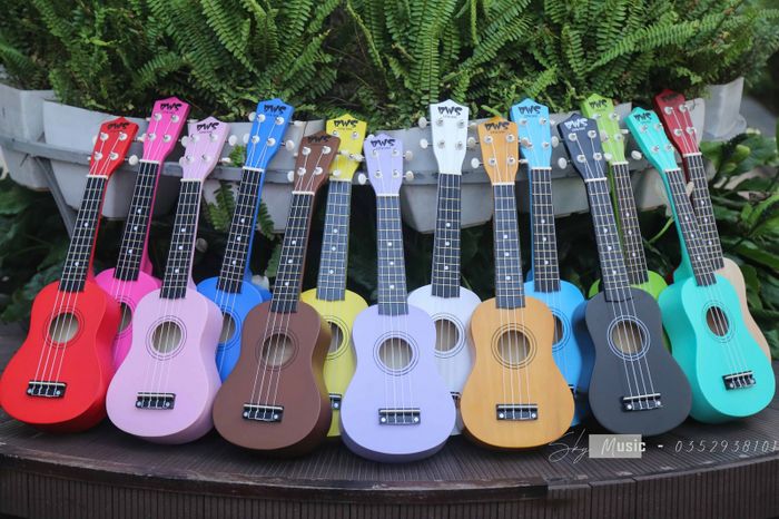 Hình ảnh Ukulele giá rẻ - Sky Music 1