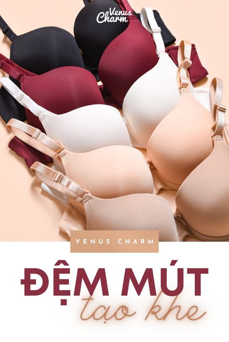 Hình ảnh của Venus Charm 3