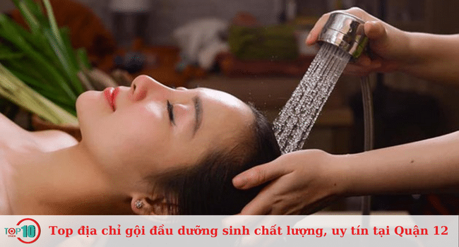 Những địa chỉ gội đầu dưỡng sinh uy tín và chất lượng hàng đầu ở Quận 12