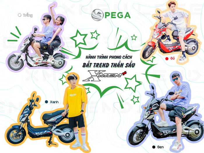 Hình ảnh PEGA - HKbike 1