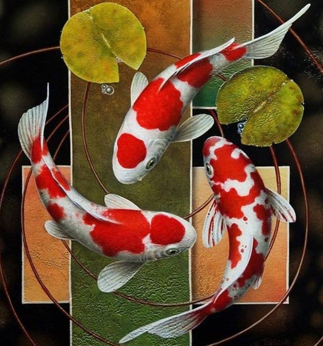 Ảnh 2 của Thái Hòa Aquarium