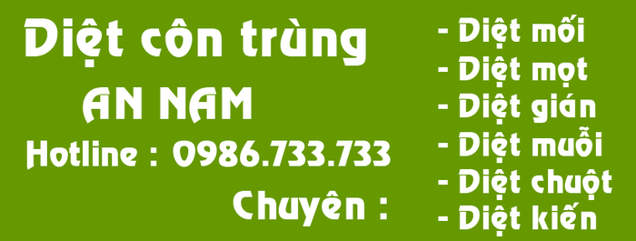 Công Ty Diệt Mối Công Trùng An Nam ảnh 1