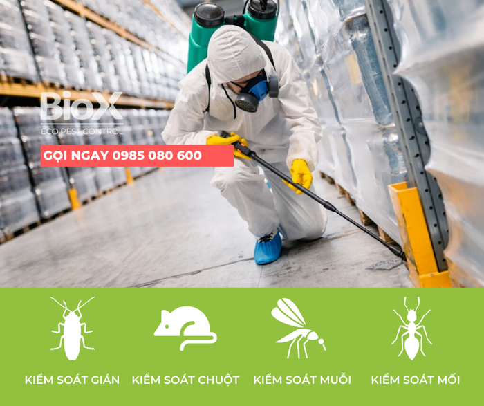 Công ty kiểm soát côn trùng Biox (Biox Eco Pest Control) hình ảnh 1