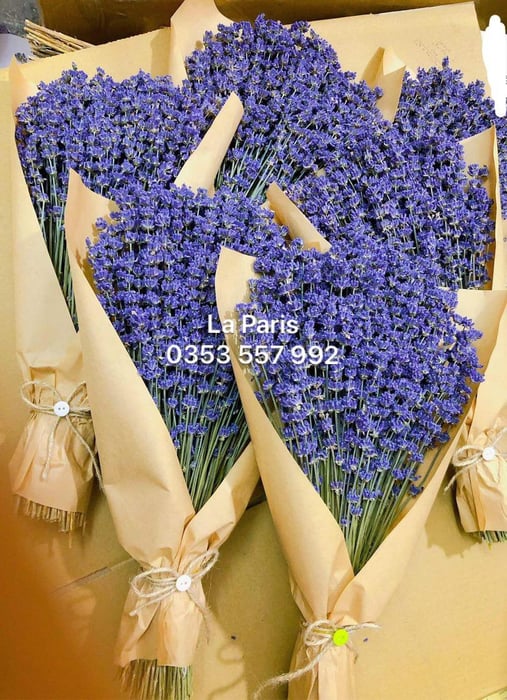 LA PARIS - Hoa Khô Lavender Tại Hà Nội, ảnh 1