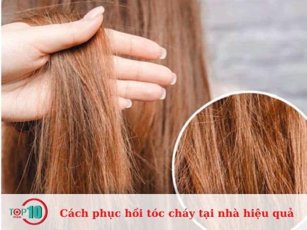 Phương pháp phục hồi tóc cháy tại nhà hiệu quả