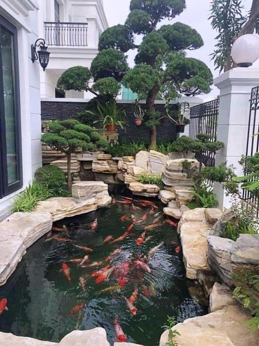 Hình ảnh SHome Koi Farm 1