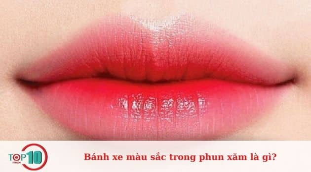 Các công thức màu phun xăm cơ bản