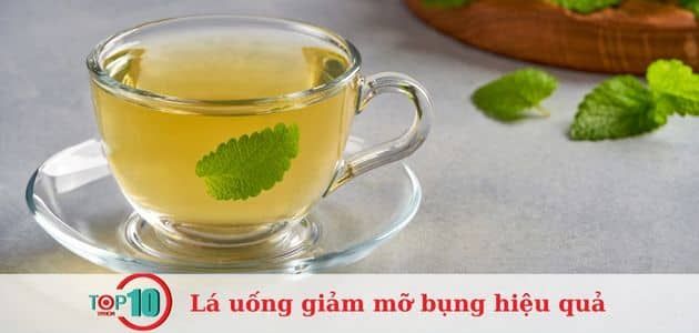 lá uống giảm mỡ bụng