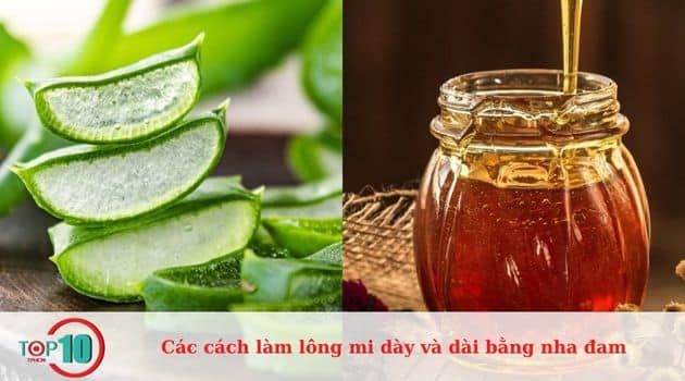 Phương pháp làm dài lông mi với nha đam và mật ong