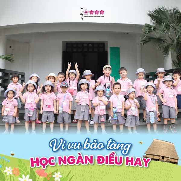 Hình ảnh của Trường Quốc Tế Sakura Montessori (Hải Phòng)