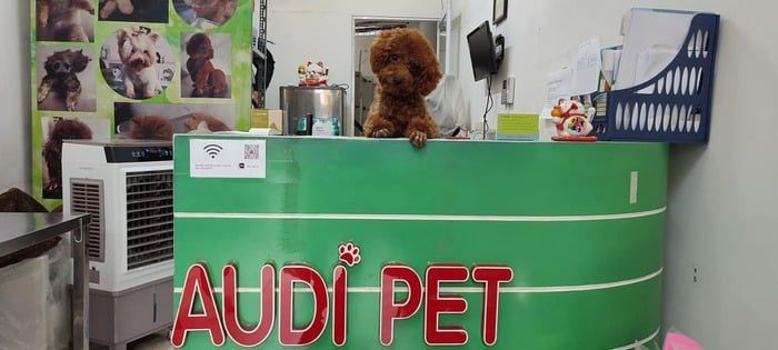 Hệ Thống Dịch Vụ Thú Y - AUDI PET.com