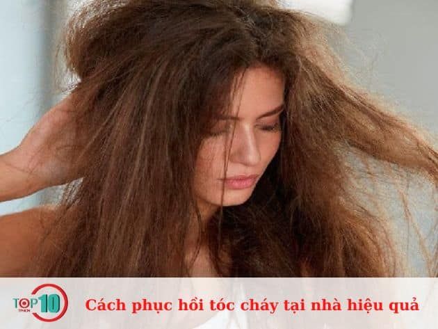 Phương pháp phục hồi tóc cháy tại nhà hiệu quả