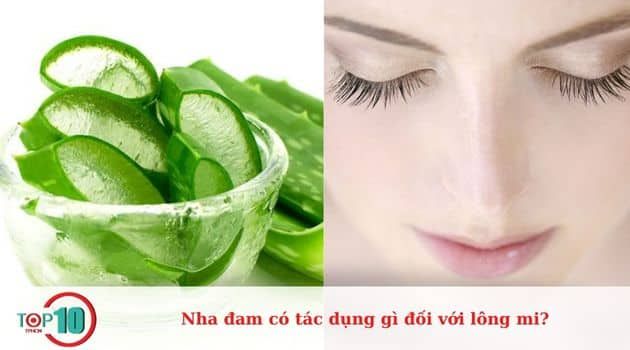 Nha đam có lợi ích gì cho lông mi?