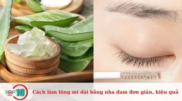 Khám phá 3 phương pháp giúp lông mi dài hơn nhờ nha đam, đơn giản và hiệu quả