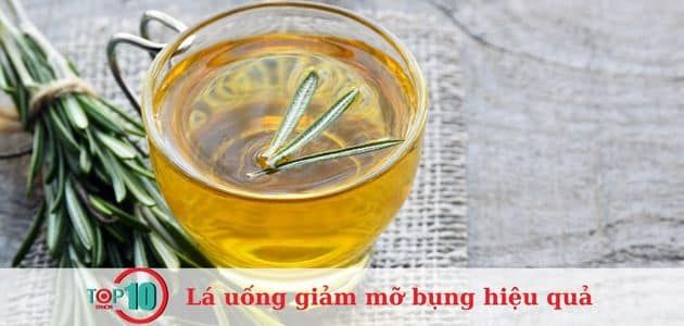 lá hương thảo