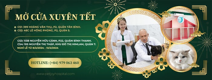 Phòng khám thú y chụp X-quang uy tín và chất lượng tại Sài Gòn